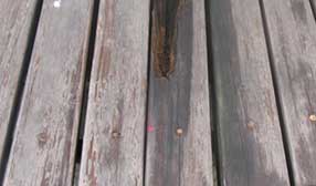 防腐木多少钱一立方