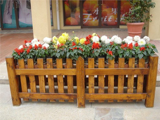 花盆树池
