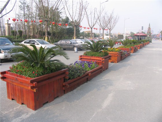 花盆树池