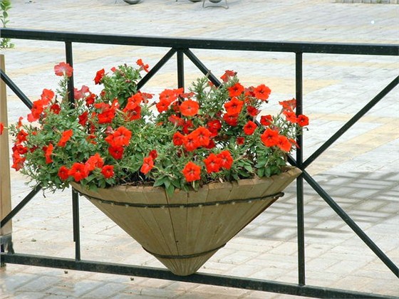 花盆树池