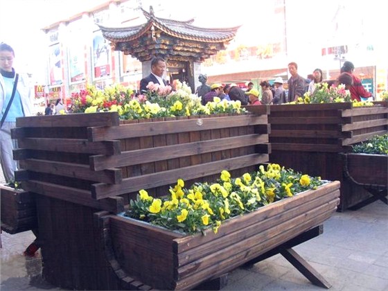 花盆树池