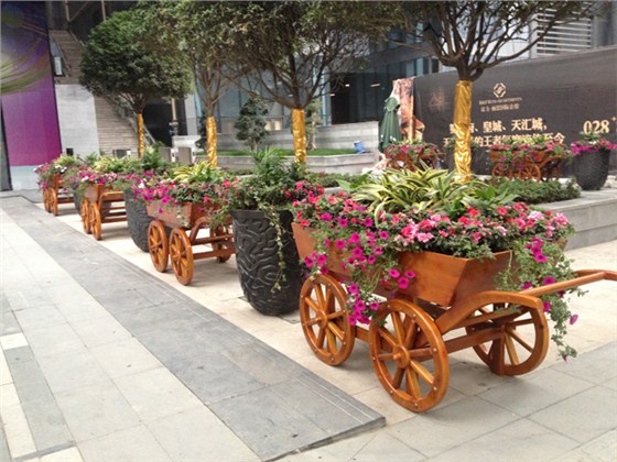 花盆树池