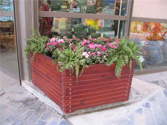 花盆树池