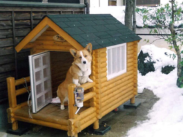 宠物木屋价格